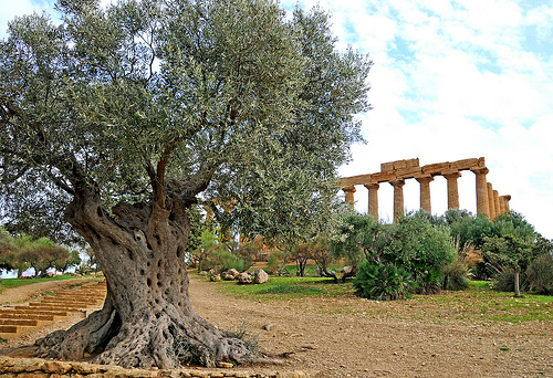 agrigento