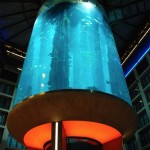 aquadom