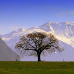 belledonne