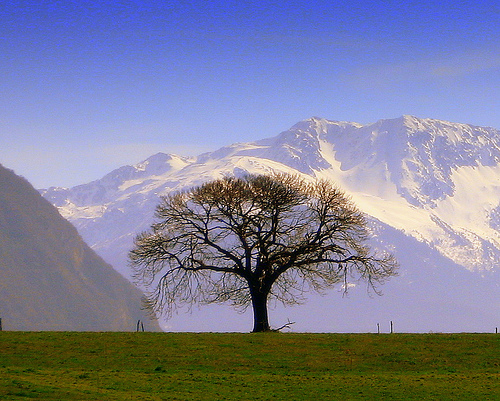 belledonne