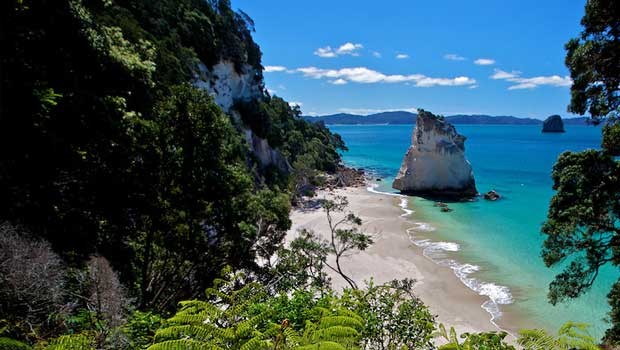 Cathedral Cove Coromandel