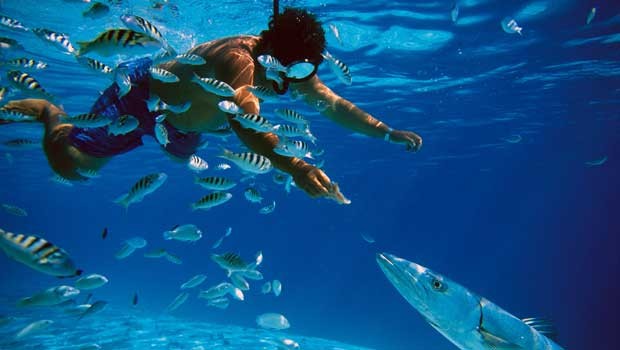 Tahiti Snorkeling