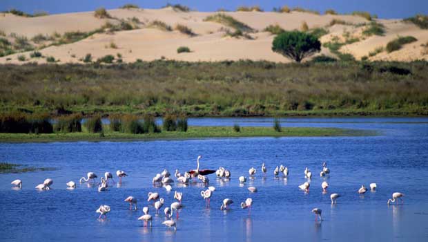 Donana National Park